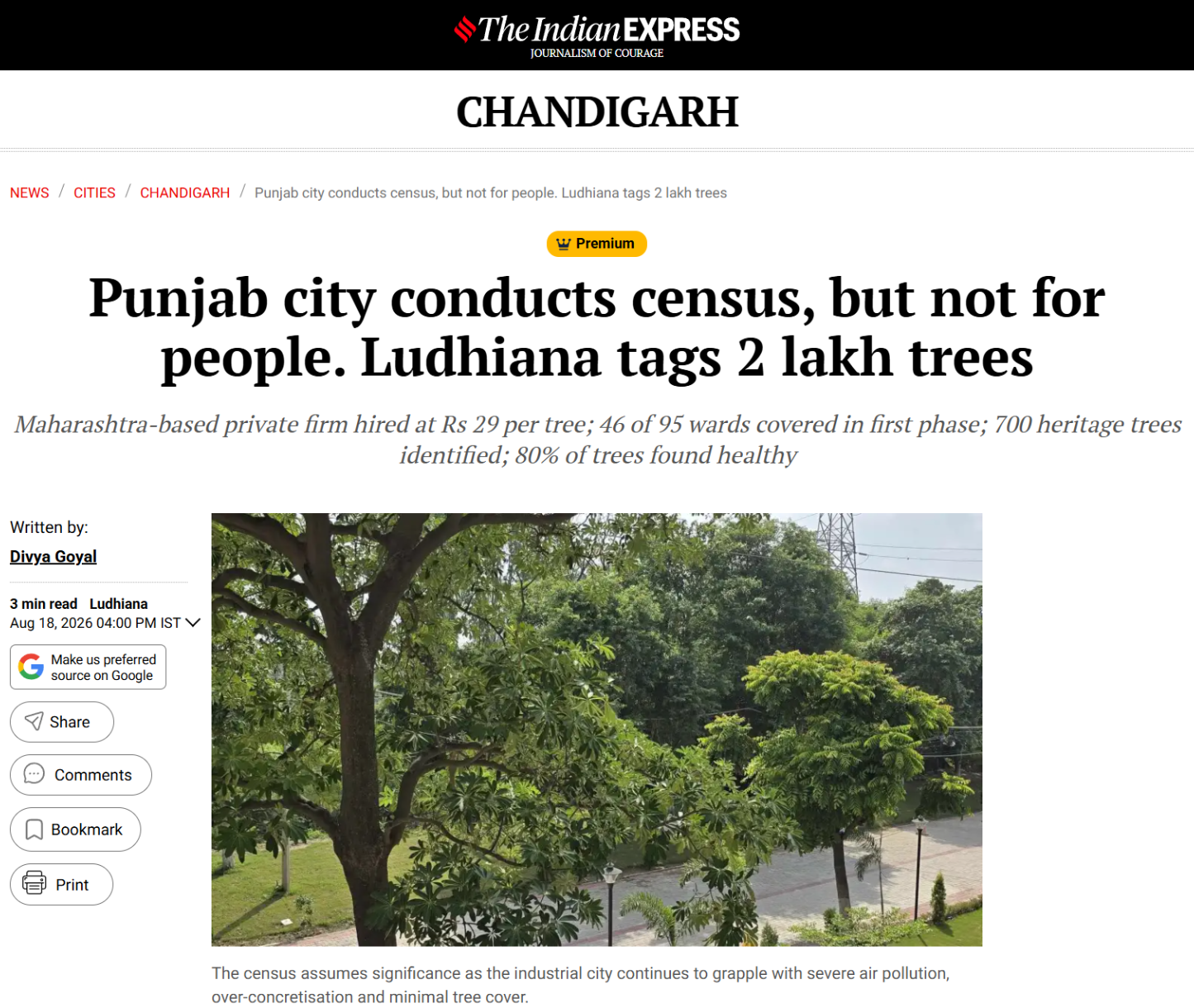Tall green trees along a paved path in Ludhiana — photo from The Indian Express report on the city's first tree census