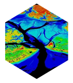 Colour-coded LiDAR scan of a tree