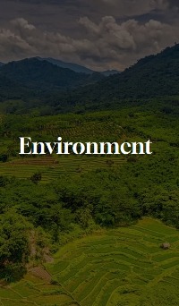 Terraced green hills under cloudy sky